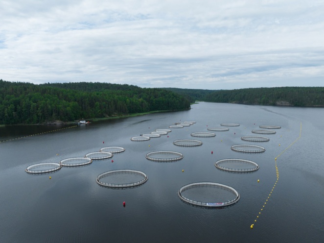 Опыт Карельских рыбных заводов по выращиванию посадочного материала