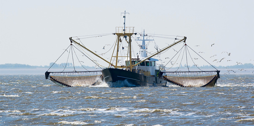 Рыбаки чинили неводы конопатили лодки изготовляли якорницы вязали смолили схема предложения