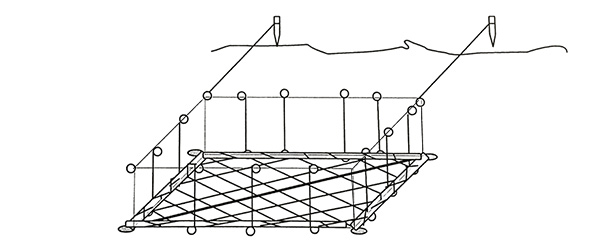 A lift net has an opening which faces upwards.