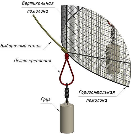 Певчие птицы: содержание