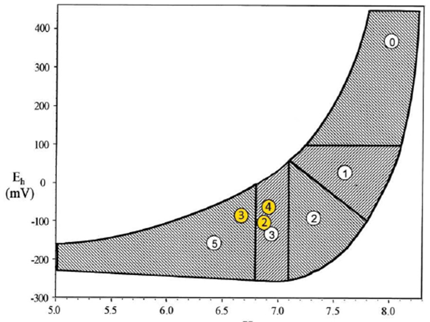 Полученные значения Еh и рН (значения в кружках) совмещенные с диаграммой оценок состояния грунта по МОМ