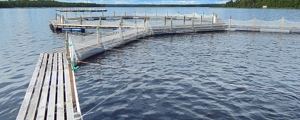 Fish Cages Manufacturing